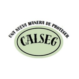 calseg.png